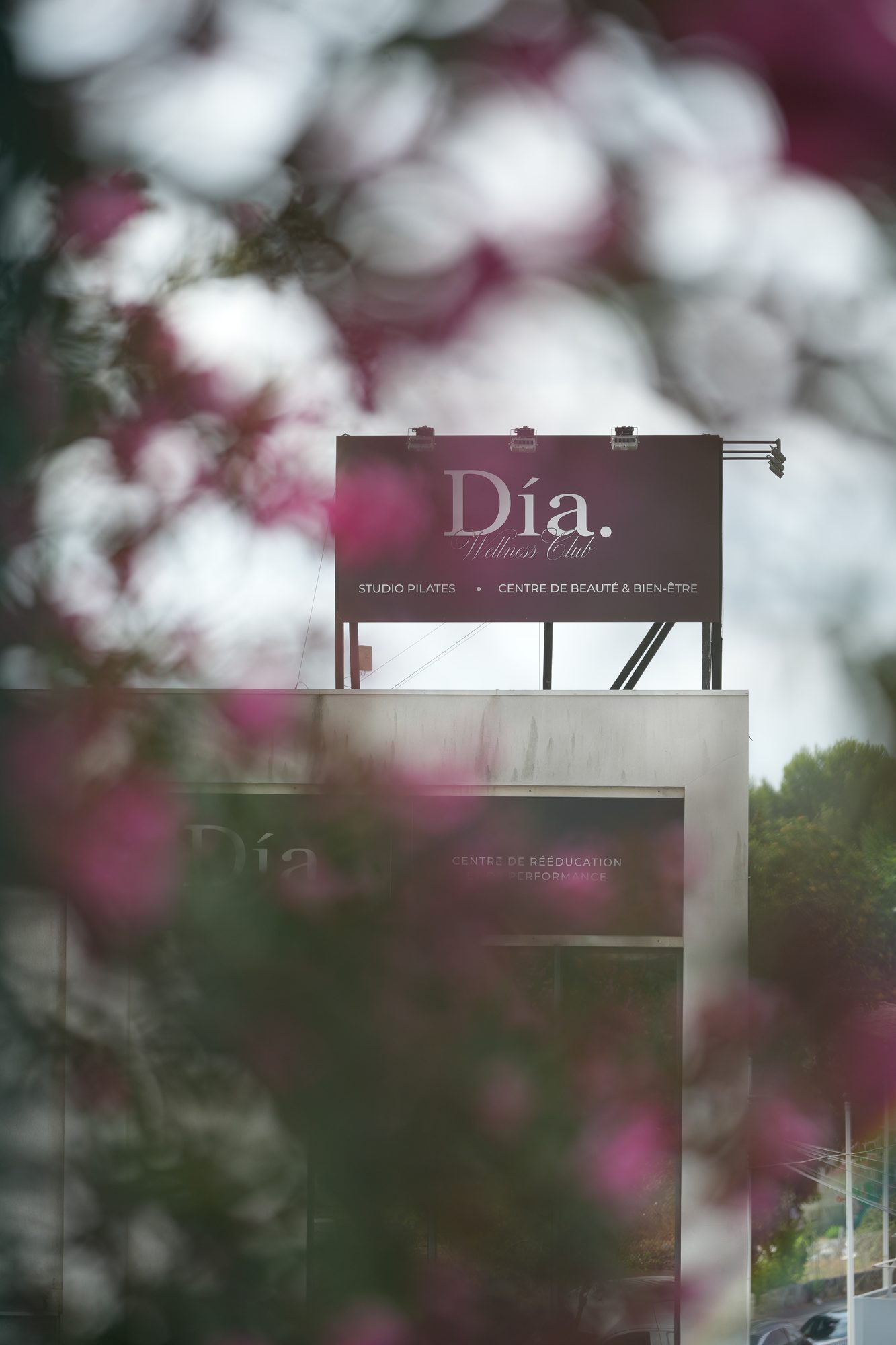 Día — photo 8, original
