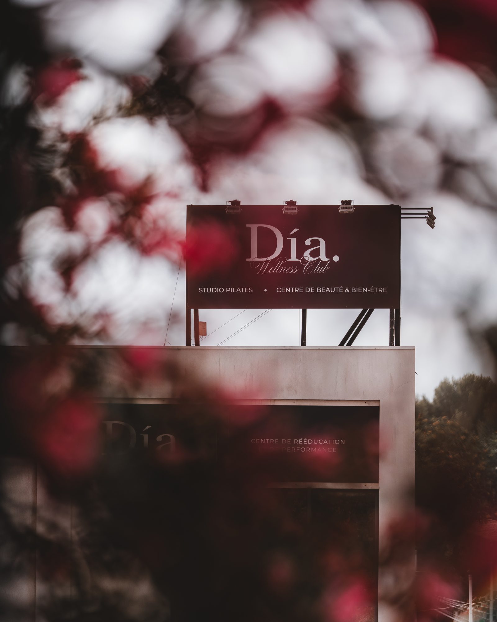 Día — photo 8, étalonnage et recadrage